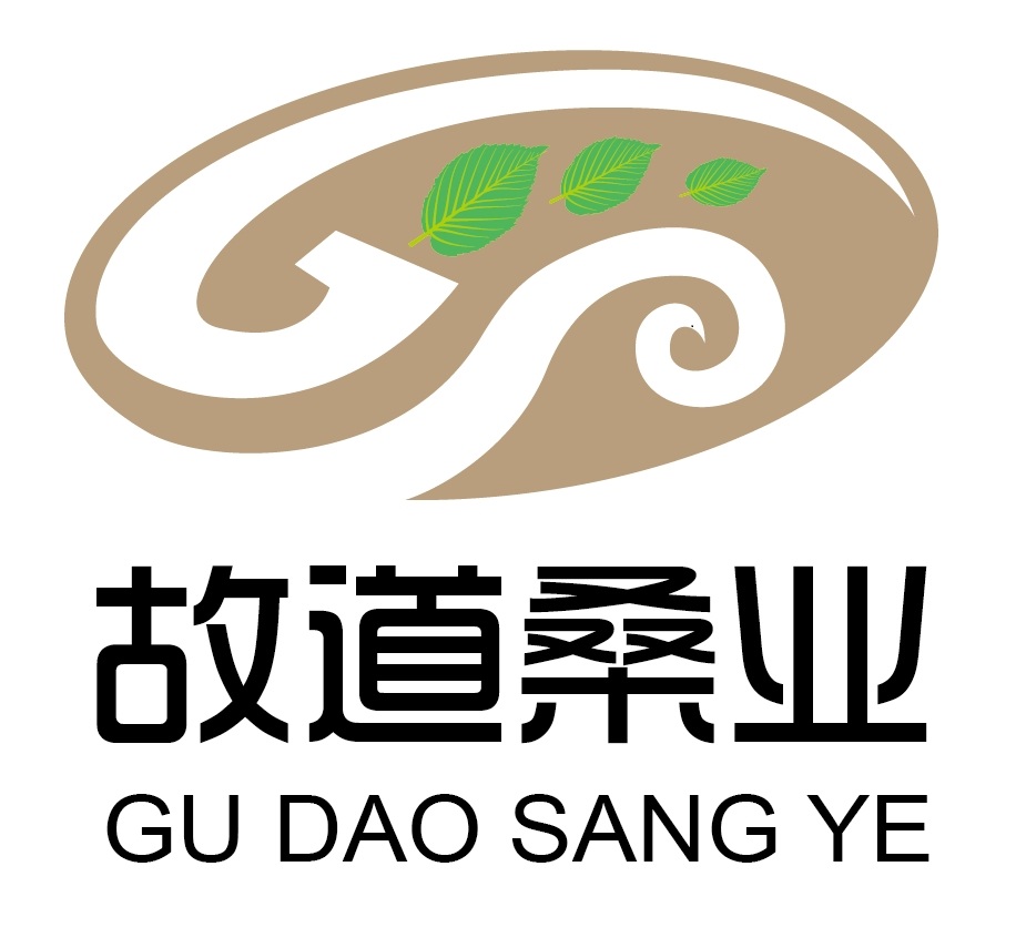 喝茶就可以防脫生發(fā)，太神奇了！桑葉養(yǎng)生茶
