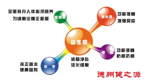 夏天腸胃問(wèn)題頻發(fā)，您應(yīng)該用益生菌了