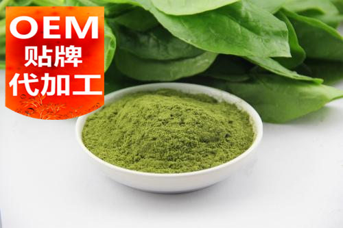 代餐粉代加工廠價(jià)格六個方面-德州健之源